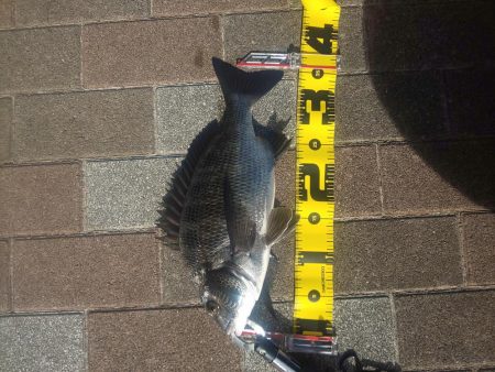 夕方2時間　～さざなみ公園～