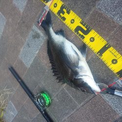 夕方2時間　～さざなみ公園～