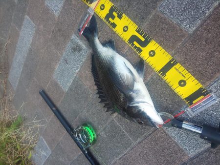 夕方2時間　～さざなみ公園～