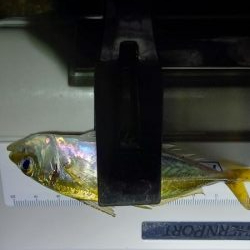 おじさんの夏休み