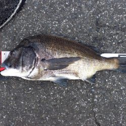 年無し2連続ヒット