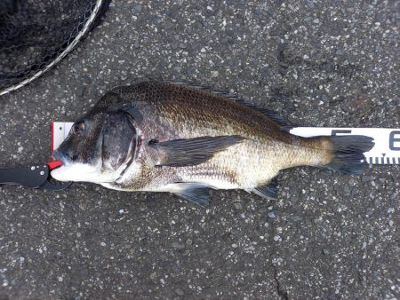 年無し2連続ヒット