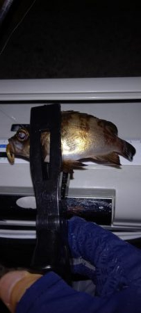 お盆は雨なので