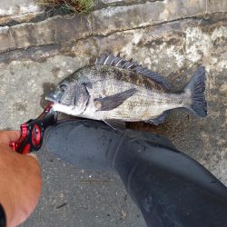 村田川下流の潮止まり