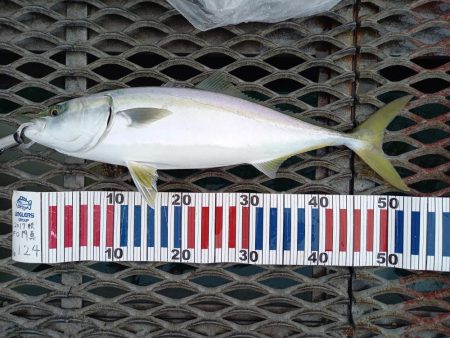 とっとパーク青物情報