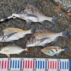 小豆島遠征part1