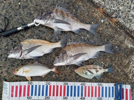 小豆島遠征part1