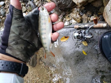 読み間違えたみたい、、、