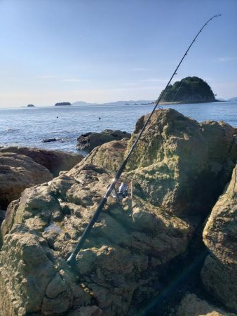 まだ居なかったショアブルー