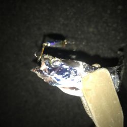 夕マズメの太刀魚釣り