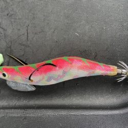 ファミリーフィッシング