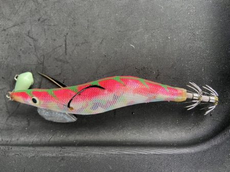 ファミリーフィッシング