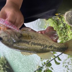 トップでバスが釣れました。［ガボッツ90］