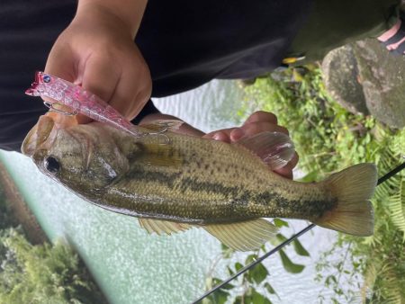 トップでバスが釣れました。［ガボッツ90］