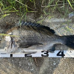 イチノ兄弟、釣果!