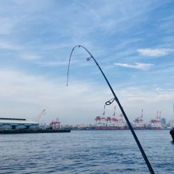 ボンジュール、サヴァ!!