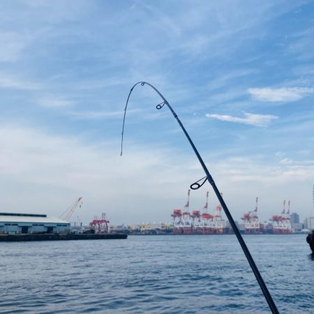 ボンジュール、サヴァ!!