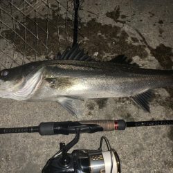 イナッコボイル