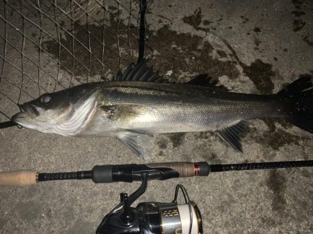 イナッコボイル