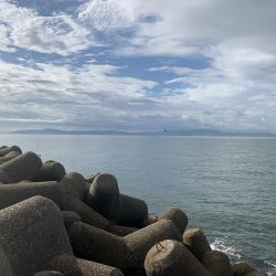 やっとツバスが来たー！