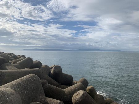 やっとツバスが来たー！