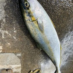 渋い中なんとか