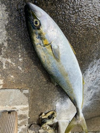 渋い中なんとか