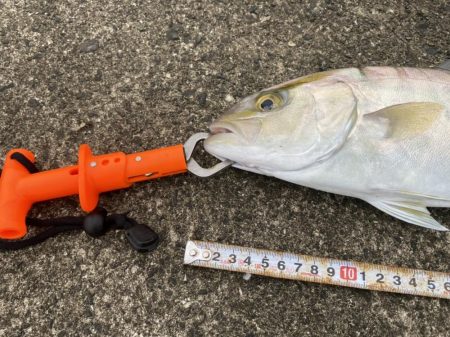 ４０センチの壁