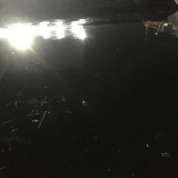 @久しぶりのシーバス！