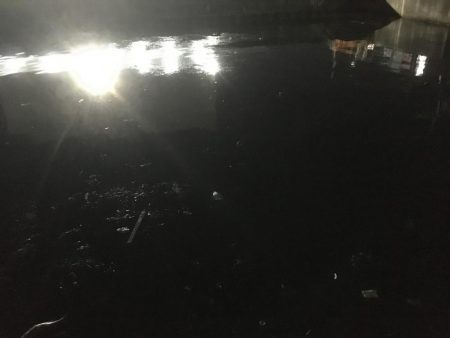 @久しぶりのシーバス！