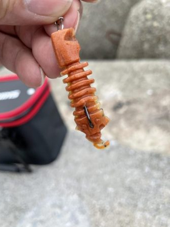 アコウ釣りその2