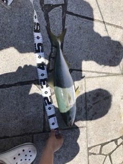 初ショアからの青物