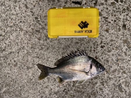 深夜のライトゲーム