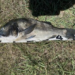 イチノ兄弟、釣果！