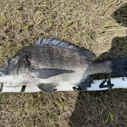 イチノ兄弟、釣果！