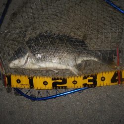 リフト＆フォールでヒット