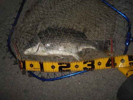 リフト＆フォールでヒット