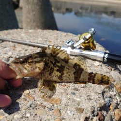 雨の合間を縫って