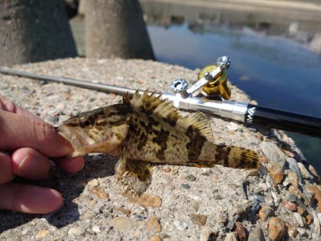 雨の合間を縫って