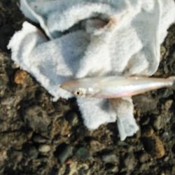 高砂釣行５