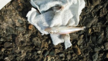 高砂釣行５