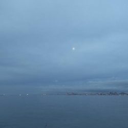 久々のシーバス