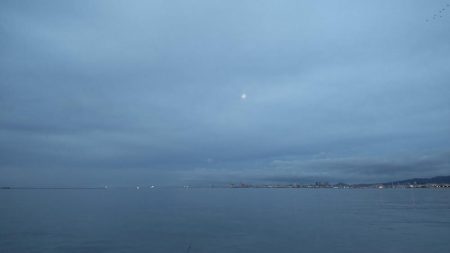 久々のシーバス