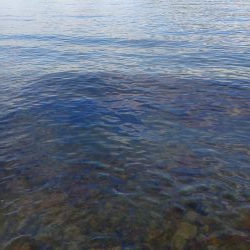 久しぶりのﾙｱｰ