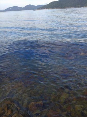 久しぶりのﾙｱｰ