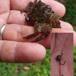 小物釣りの合間に