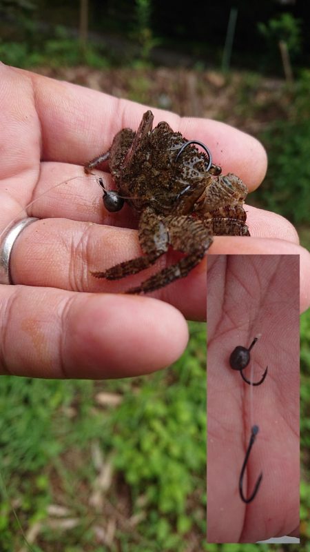 小物釣りの合間に
