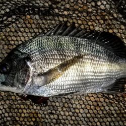 ストラクチャー際でステイ