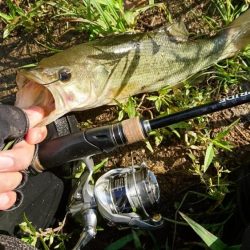 午前中のサイトフィッシング