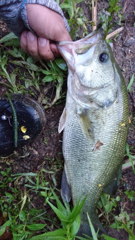 ランガンで計13匹